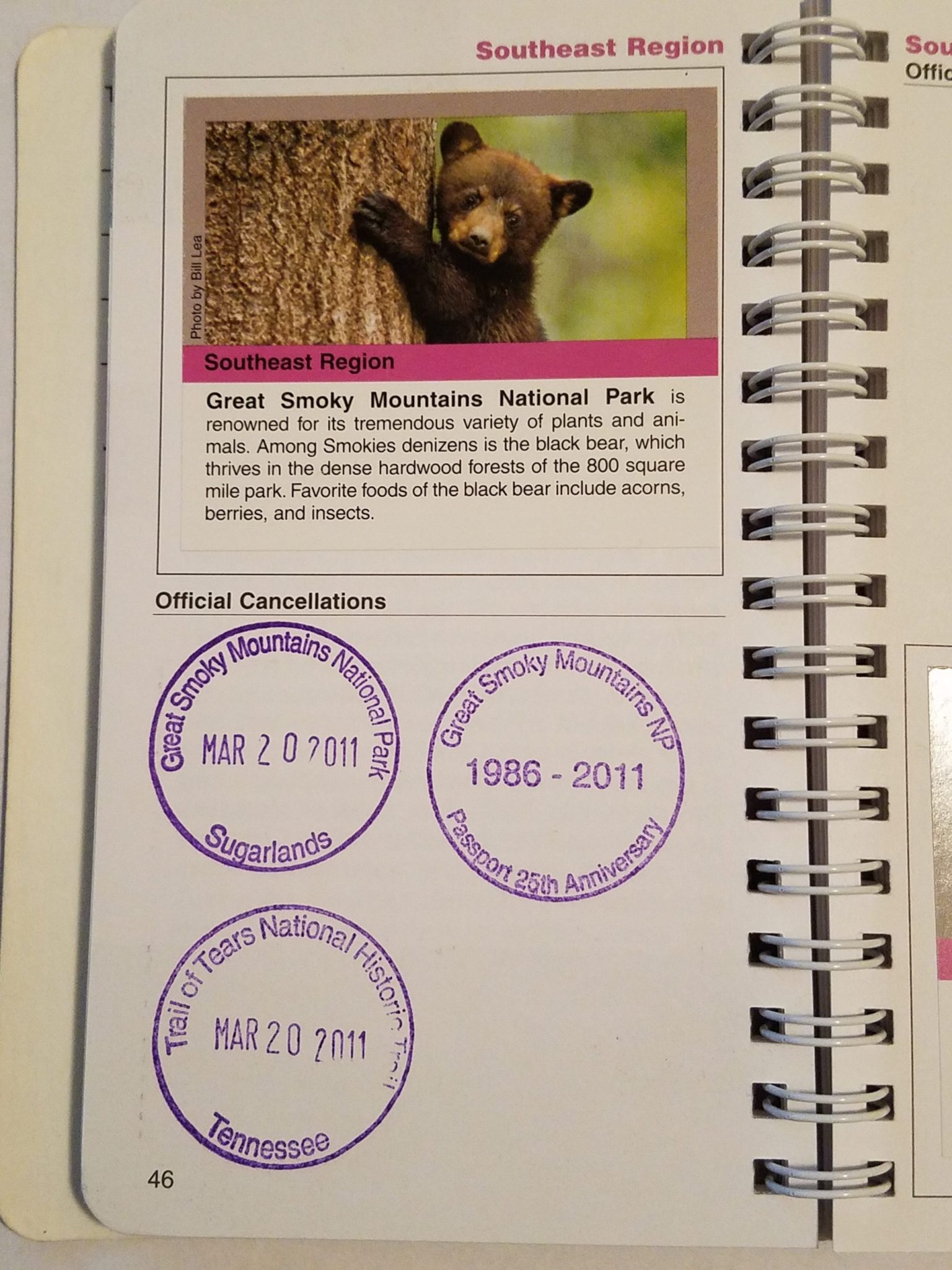 What is Stamp Cramp? (Our National Park Passport Story) - Park Trips  (and More)