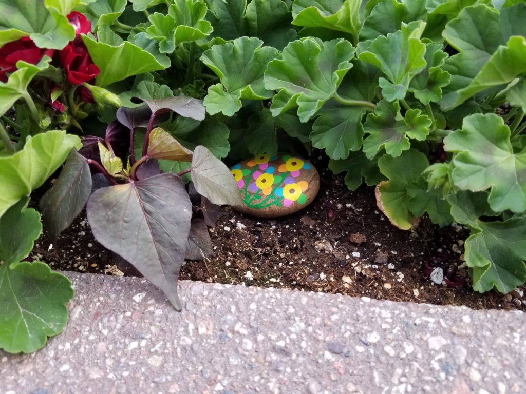 We found a Rapid City Rock on our trip! Keep your eyes peeled for these neat decorated rocks. 
