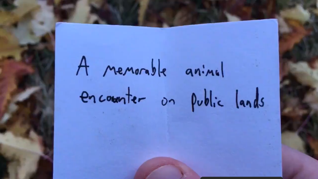 #NatureWritingChallenge A memorable animal encounter on public lands. One hour. Unedited. Go! #FindYourPark #ParkTripsAndMore