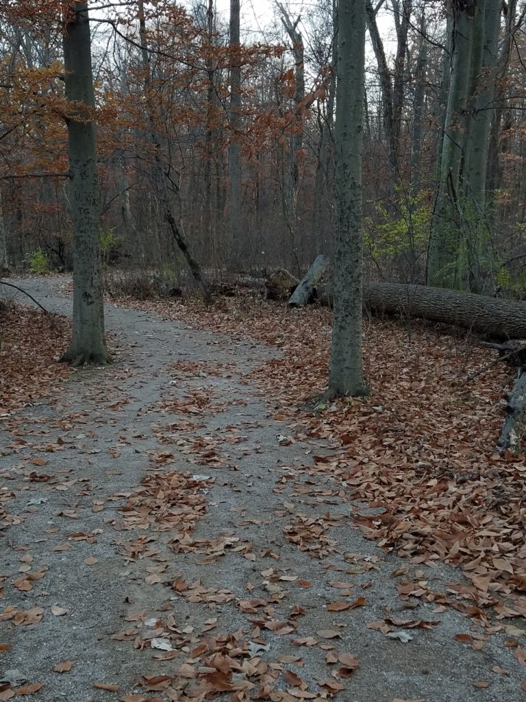#OptOutside at Blacklick Woods MetroPark