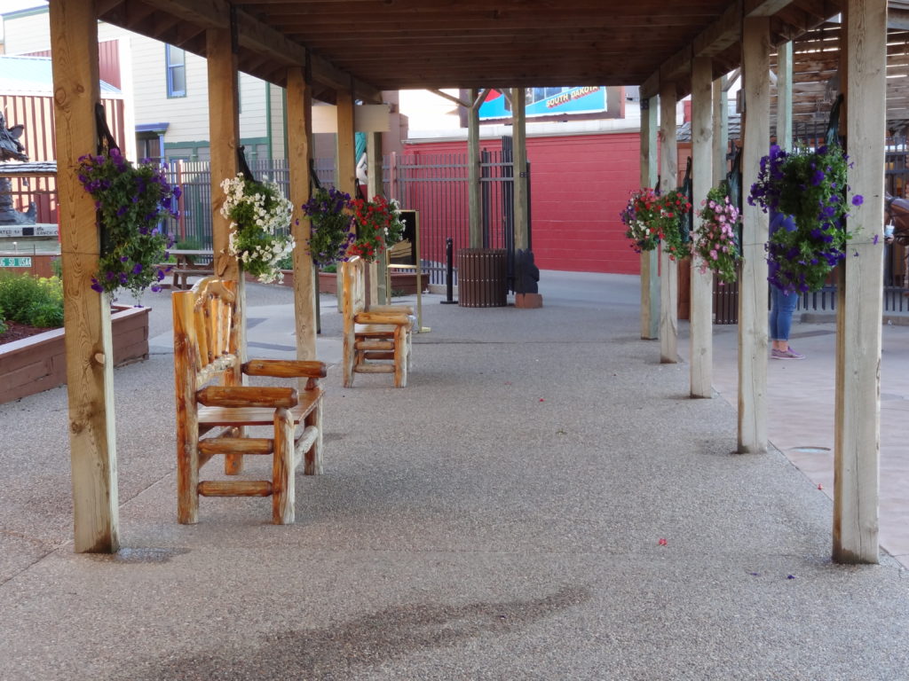 New Visit or Revisit?