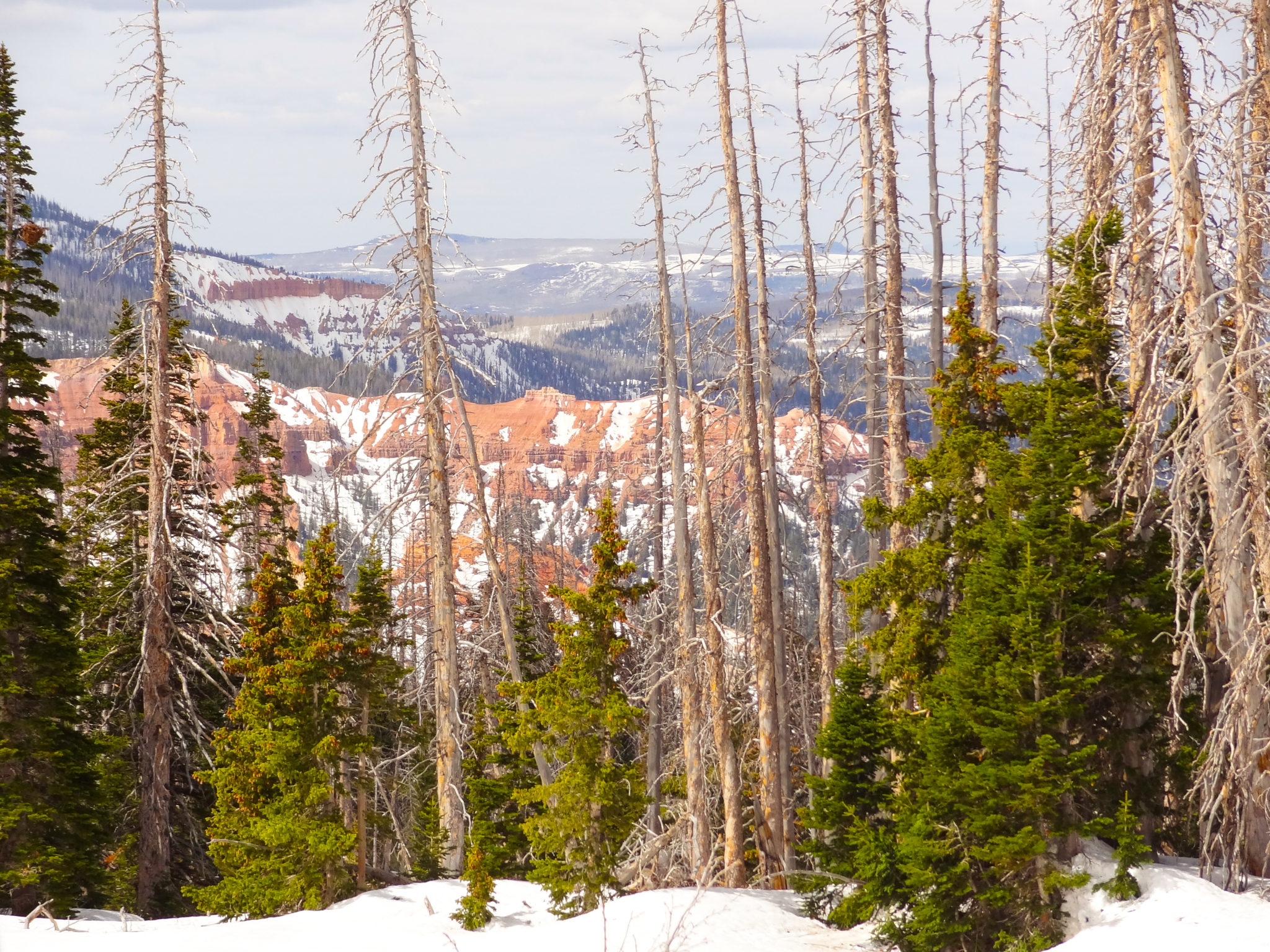Cedar Breaks National Monument is a beautiful park to see hoodoos. It is less well-known than its companion, Bryce Canyon, but boasts beautiful views. Be prepared for snowy conditions, however, that may linger well into May. This is a story of getting stuck in this beautiful monument - shared so you can avoid a similar experience. Happy Exploring! #parktripsandmore #cedarbreaks #findyourpark #utah #roadtrip #nationalparks