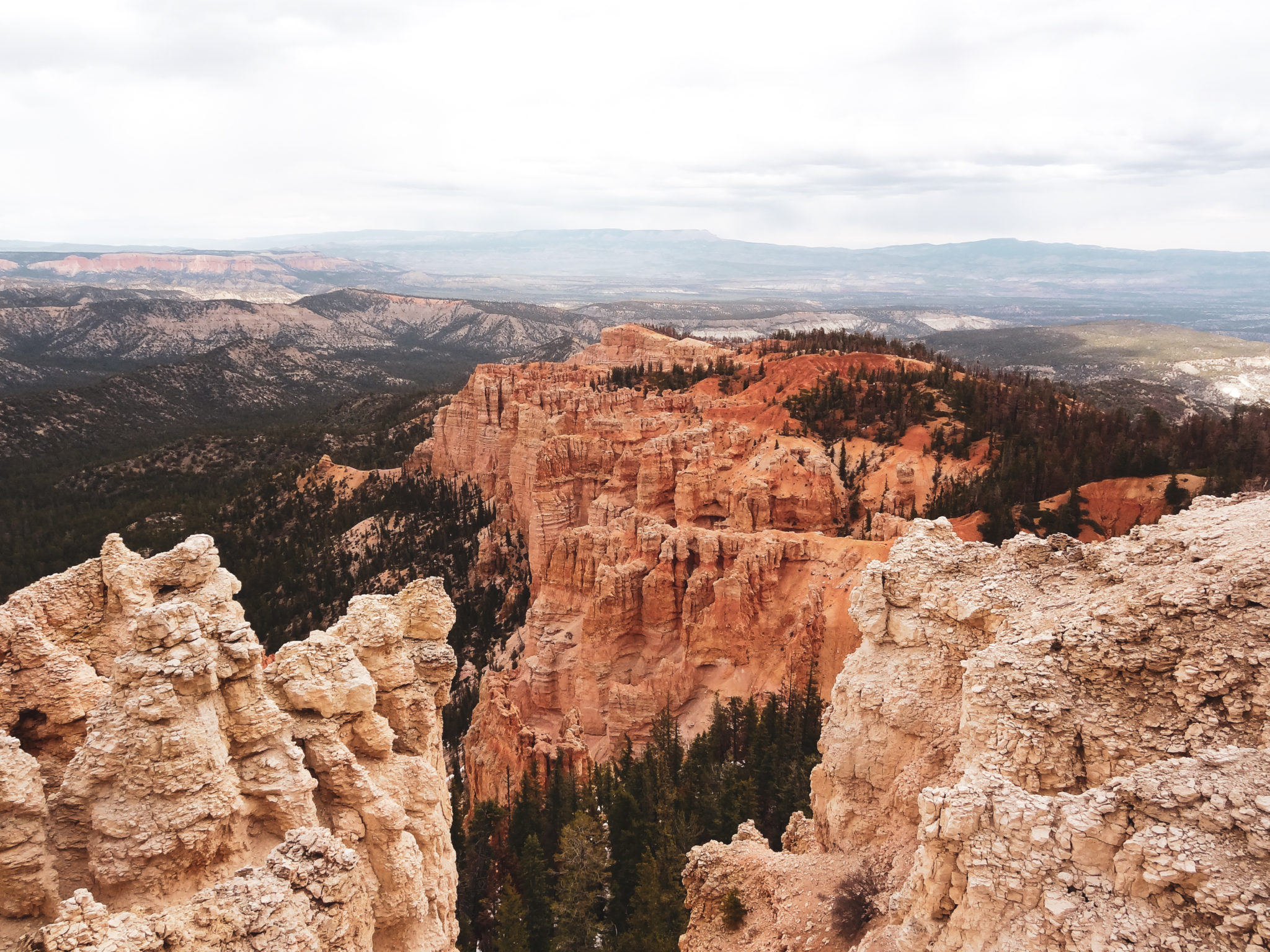 Yovimpa Point Overlook at Bryce Canyon is accessible at from Rainbow Point. It is just a short jaunt from the parking lot. 