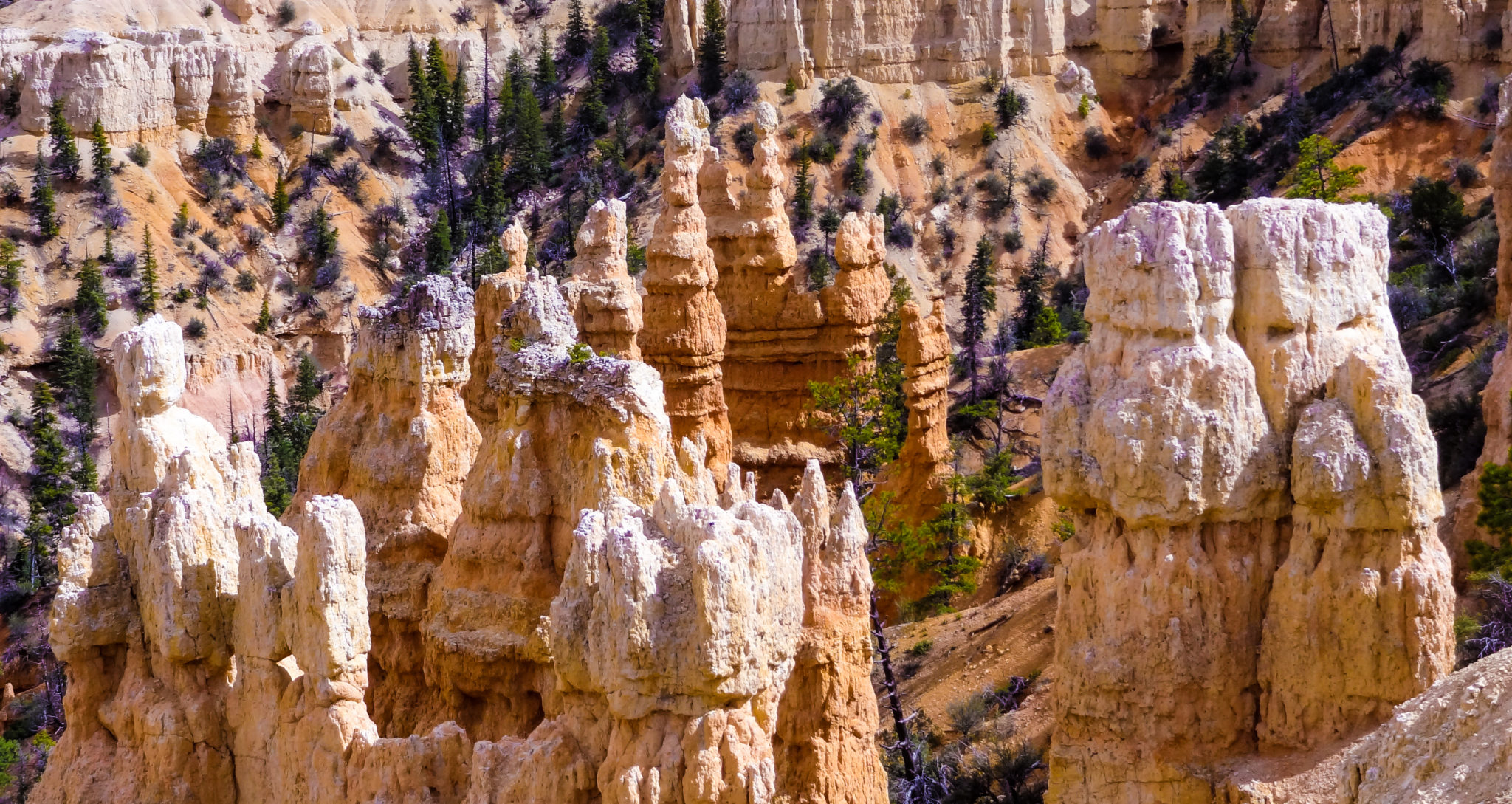 Fairyland at Bryce Canyon National Park was one of my favorite lookouts on the Rainbow Point Shuttle Tour.