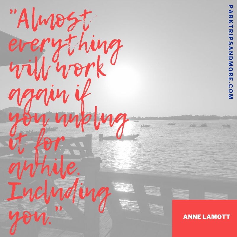 Anne Lamott Quote: Almost everything will work again if you unplug it for awhile. Including you.