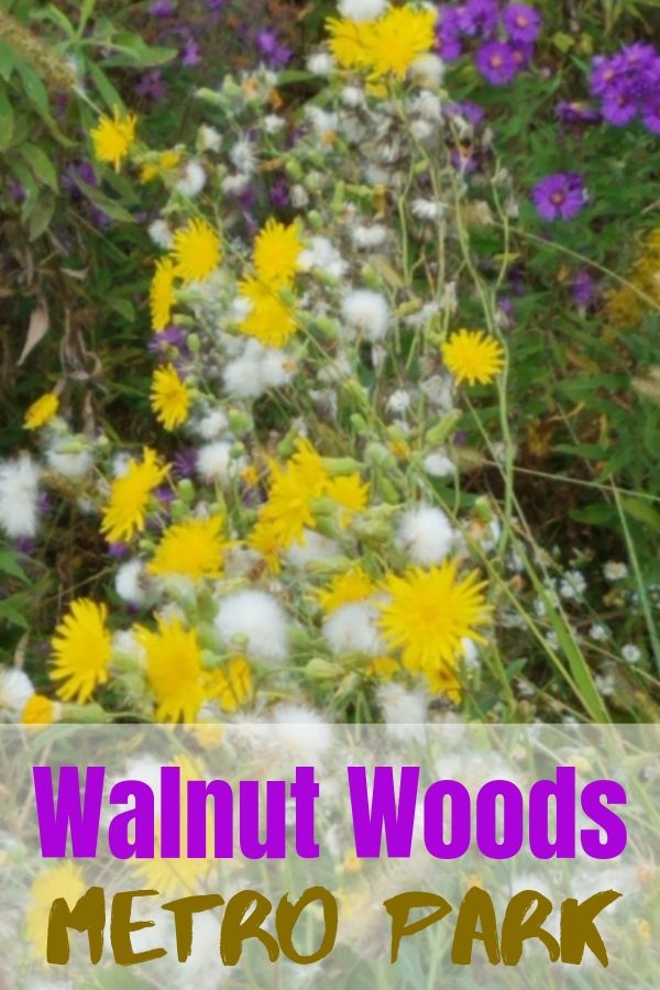 Walnut Woods Metro Park