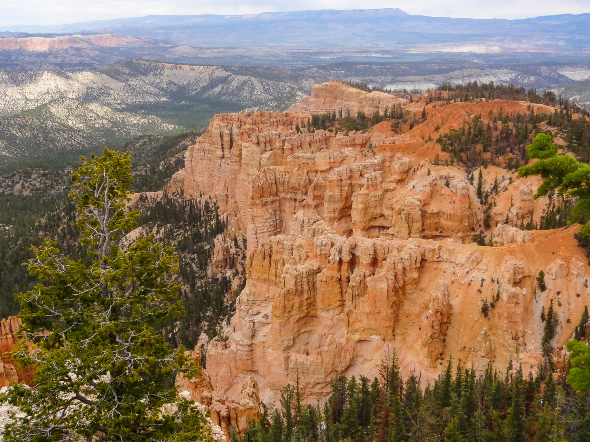 Bryce Canyon National Park has a number of gorgeous viewpoints and places to view the hoodoos. 