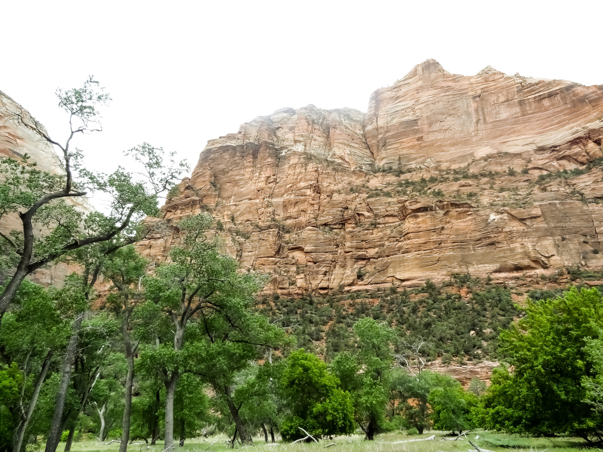 A view from the Grotto Trail at Zion National Park.