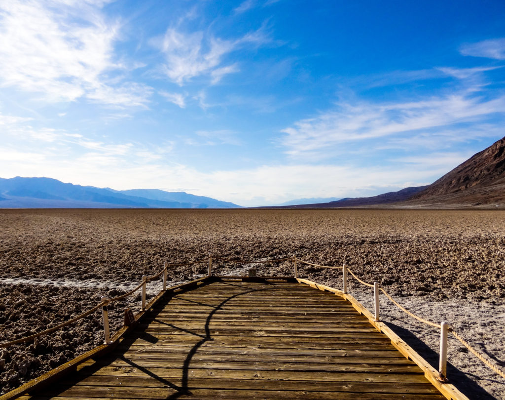 Salt Flats in Death Valley. It's alive!