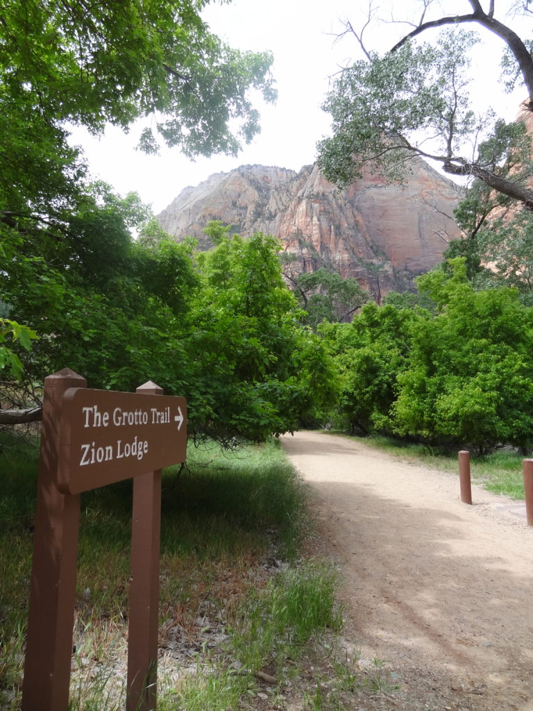 Grotto Trail is a great thing to do when visiting Zion National Park in One Day