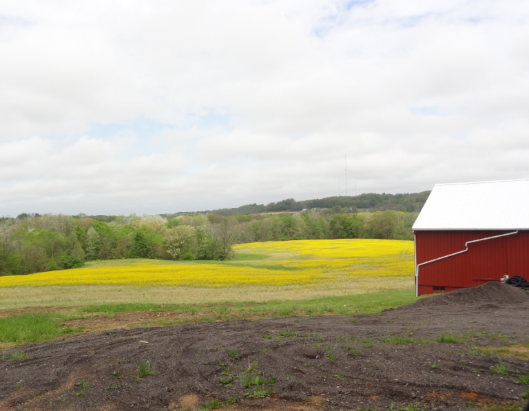 Picturesque Farm Setting