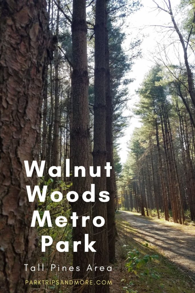 Walnut Woods Metro Park Tall Pines Area