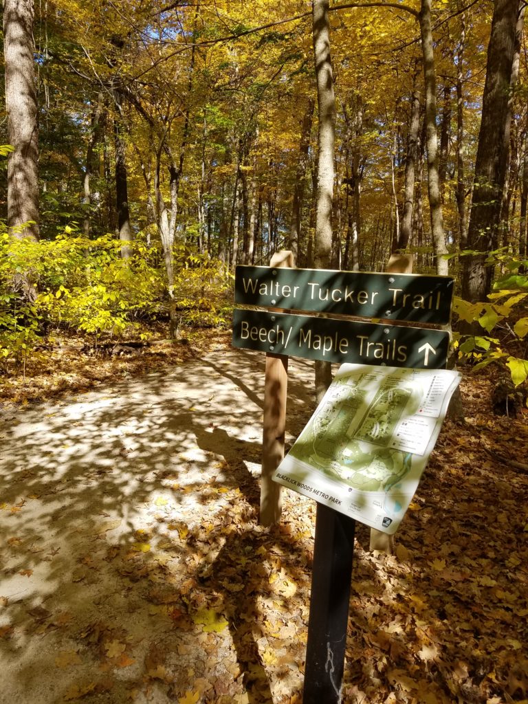 Best Parks and Hikes in Columbus OH | Blacklick Woods Metro Park in Reynoldsburg