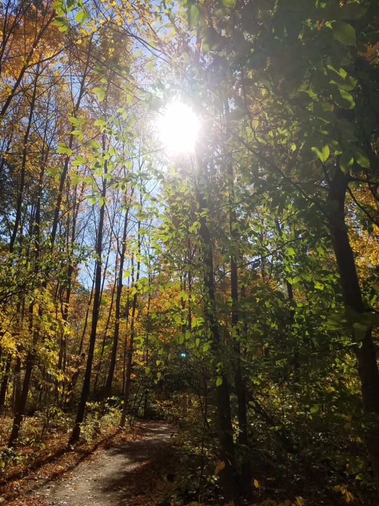 Here is a post about some of the most beautiful parks in Columbus, Ohio and the surrounding area! For each park, we also share our favorite hike in each park. These are some of the the best hiking trails in Columbus, Ohio! Enjoying parks and recreation is one of the best things to do in Columbus!