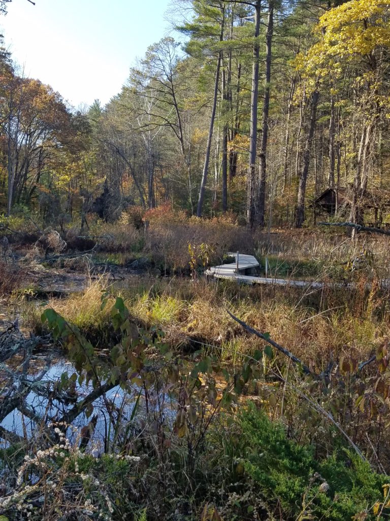 Wahkeena Nature Preserve