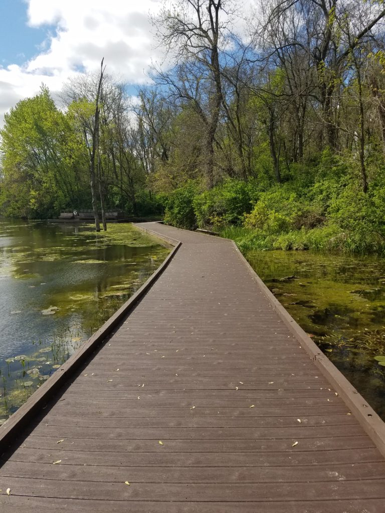 A view from the Lake Trail boardwalk at Slate Run Metro Park.  This is one of the beautiful experiences that you will experience at this beautiful park in Canal Winchester, Ohio.