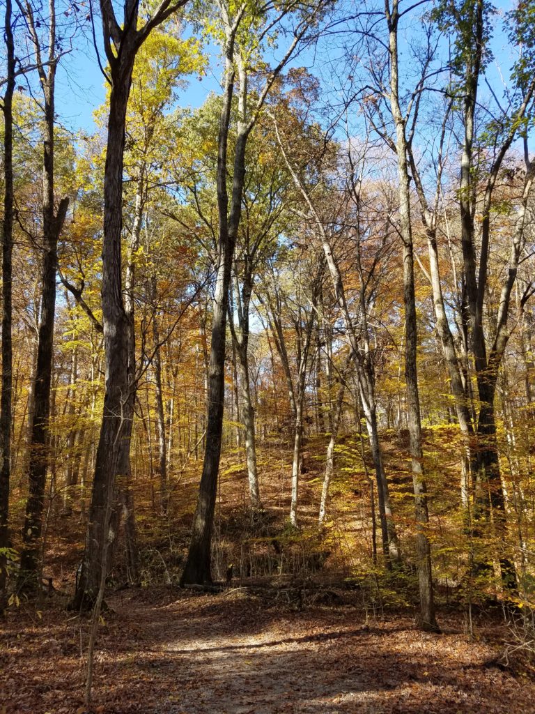 A view from the Five Oaks Natural Play area at Slate Run Metro Park, one of the best hikes in the Columbus, Ohio area.