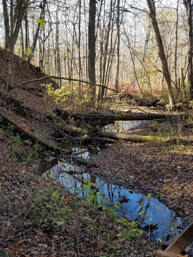The Five Oaks Trail at Slate Run Metro Park features a large Natural Play Area and nice views of the Slate Run Creek like this one.  Enjoy this beautiful Columbus Metro Park which is easily accessible from Columbus and Canal Winchester.