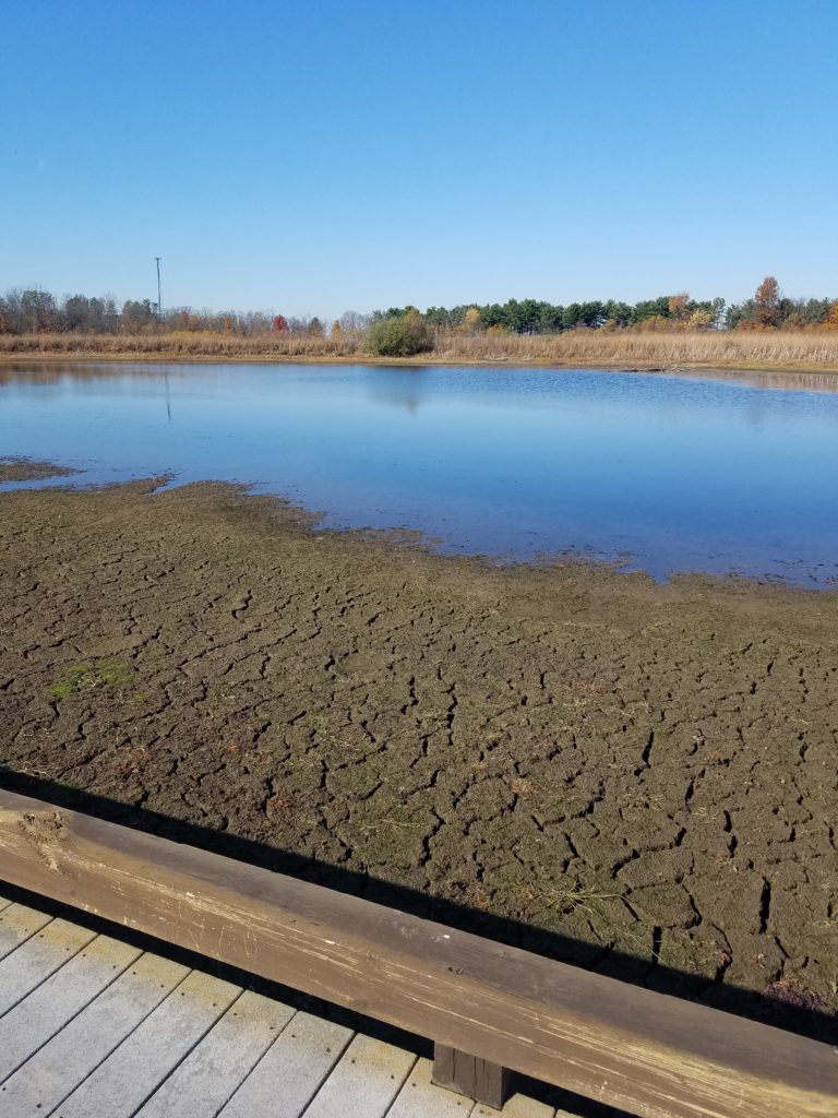 The Kokomo Wetland Trail at Slate Run Metro Park provides a unique opportunity to learn about the wetland ecology.  This is also a beautiful hike in the Canal Winchester, Ohio area.