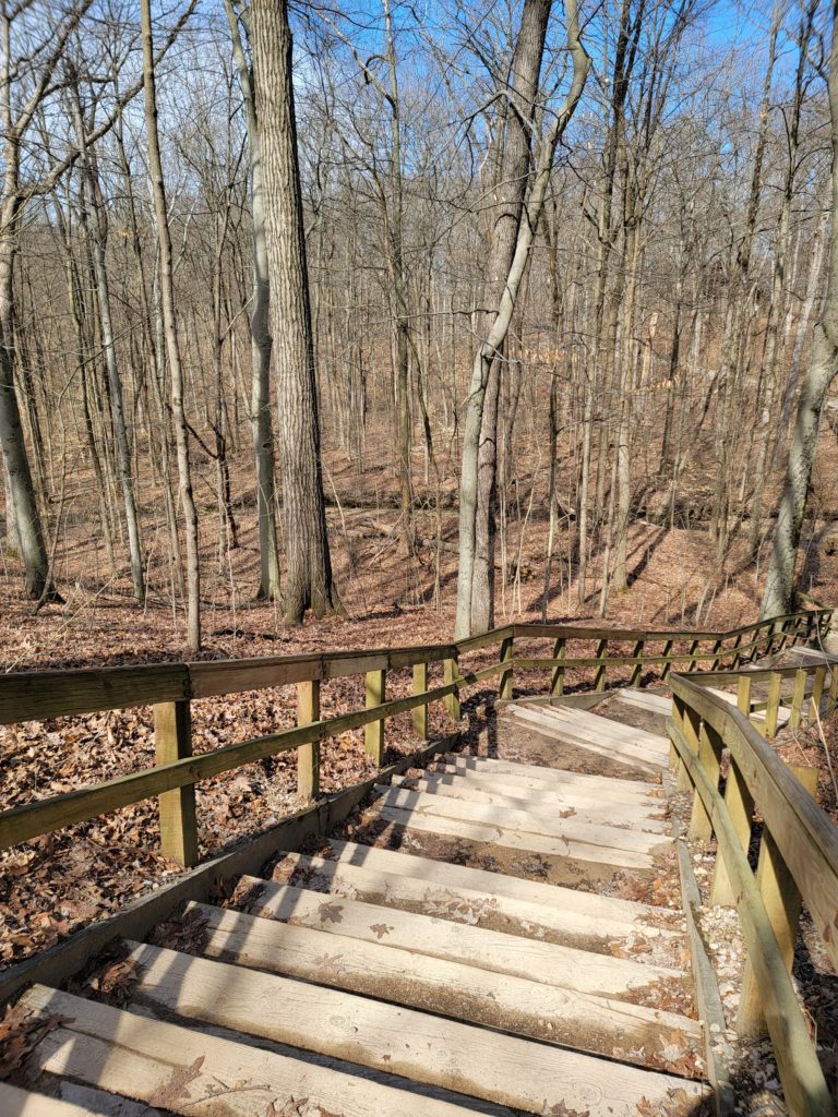 The Overlook Trail at Blendon Woods Metro Park is one of our favorite hikes in Columbus, Ohio.