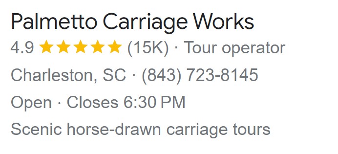 4.9/5 starts on Google reviews for Palmetto Carriage Works